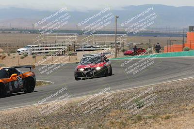 media/May-03-2025-Lucky Dog Racing (Sat) [[206de64b9d]]/Turn 4 B (1150am-130pm)/
